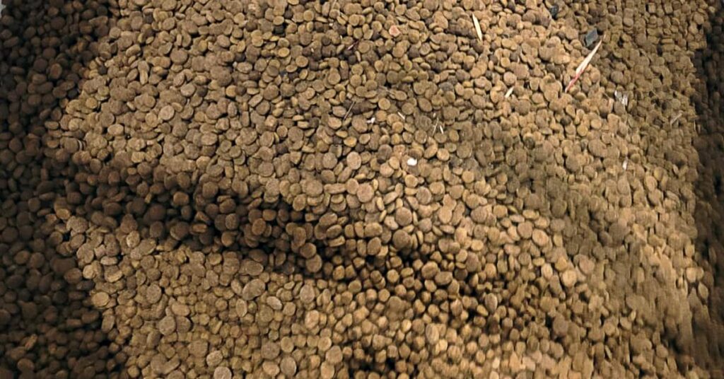 Home 13 IPN Sustainability in Pet Food Manufacturing