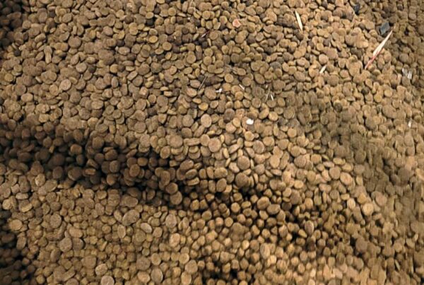 IPN Sustainability in Pet Food Manufacturing