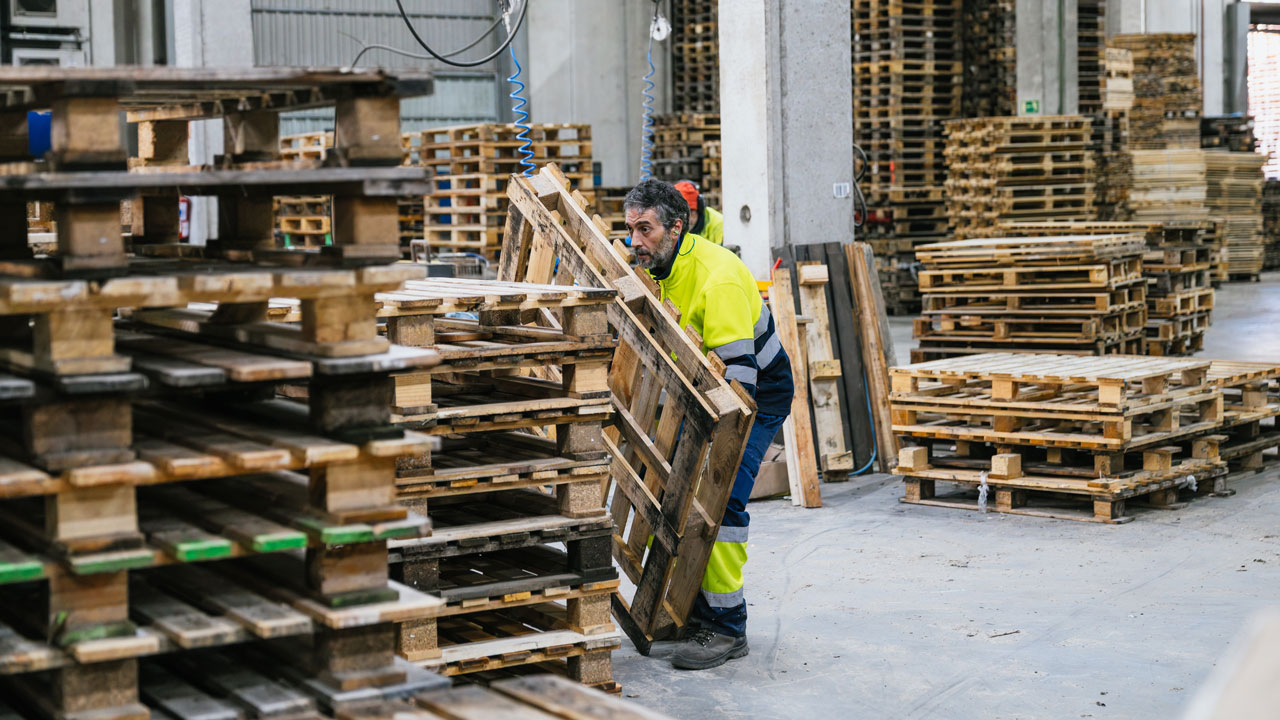 Engineering manufacturing commodity recovery wooden pallets in warehouse