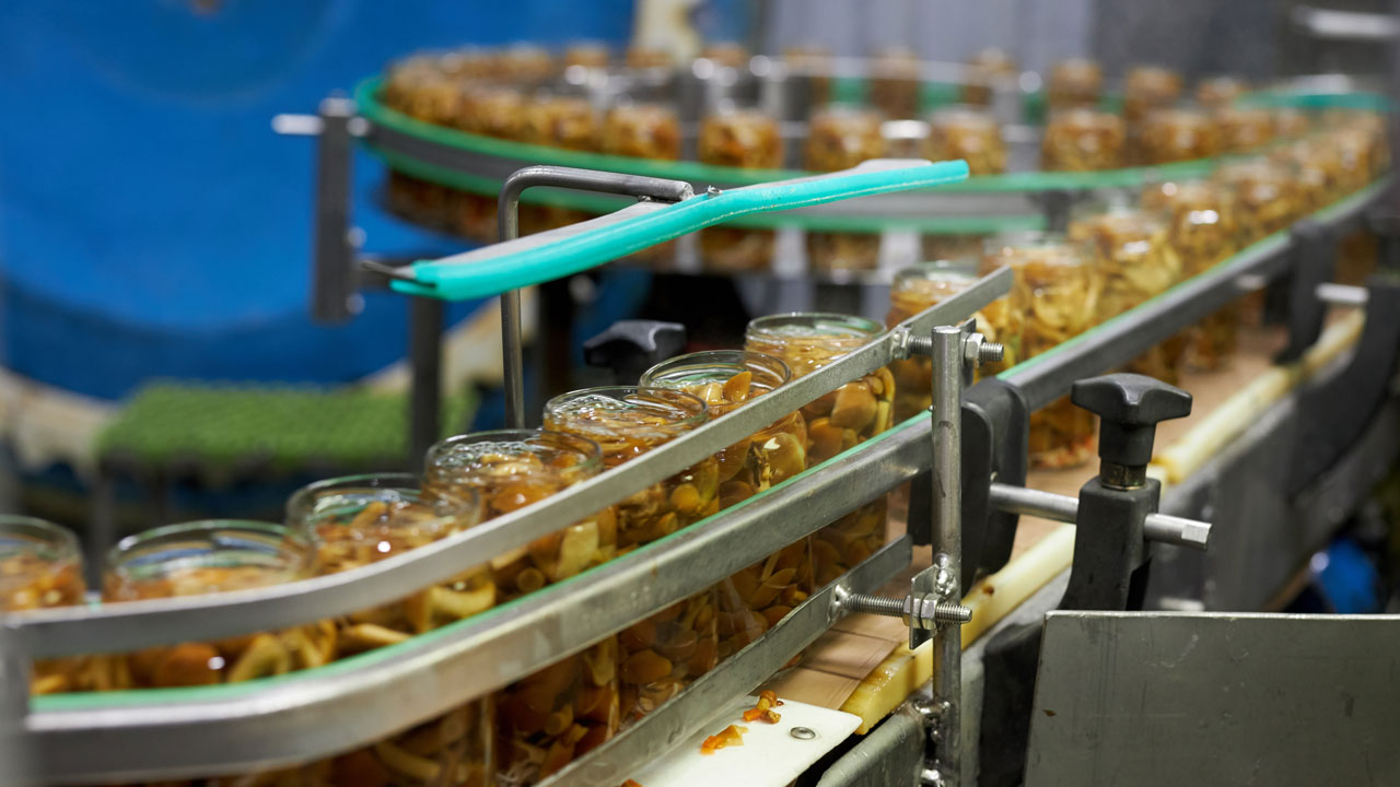 Choosing a waste partner for food & manufacturing sites: What to look for 2 Conveyor belt used in the food manufacturing industry